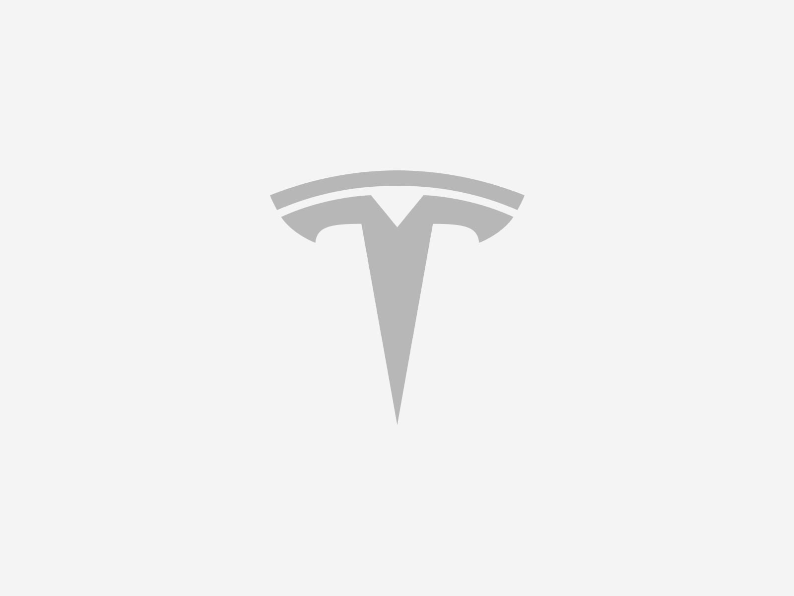 Tesla logo